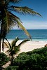 Donato > Yucatan, Mexico photo